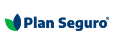 Plan Seguro